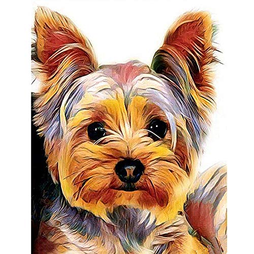 Bdhnmx 5D Diamond Painting Mosaic DIY Rhinestones Embroidery Cross Stitch Yorkshire Terrier Dog Kit Home Decoration Round diamond 40X50Cm(15.5X19.5Inch） von Bdhnmx