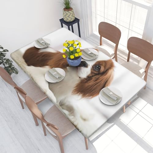 Tischdecke, wasserdichte Tischdecke mit elastischen Kanten, 1,2 m für die Küche, Cavalier King Charles Spaniel, brauner Spaniel von BeNtli