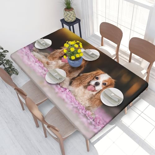 Tischdecke, wasserdichte Tischdecke mit elastischen Kanten, 1,2 m für die Küche, Cavalier King Charles Spaniel, weiße braune Hunde von BeNtli