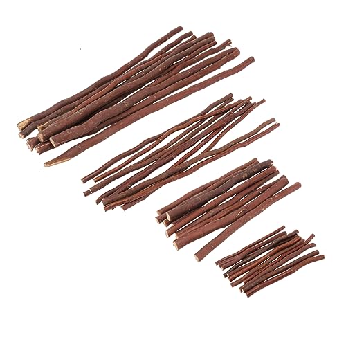 Beatifufu 40st Künstlicher Rattanzweig Zweigstangen Natürlich Treibholz-naturstab Protokolle Material Treibholzzweige Zum Basteln Holzig Stöcke Für Vase Sticks Für Foto Trockener Ast Brown von Beatifufu