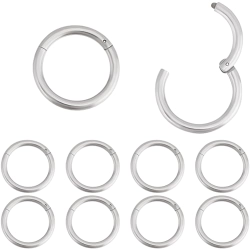 Beebeecraft 1 Box 10 Stück Knorpel Creolen 316L Edelstahl Nasenringe Helix Scharnier Piercing Schmuck 10.5mm 16G von Beebeecraft