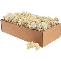 Islandmoos, 400 g - Natur von Othmar Decorations