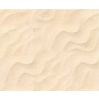 Motiv-Fotokarton "Sandstrand" von Beige