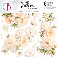 Vellum Paper "Always & Forever" von Beige