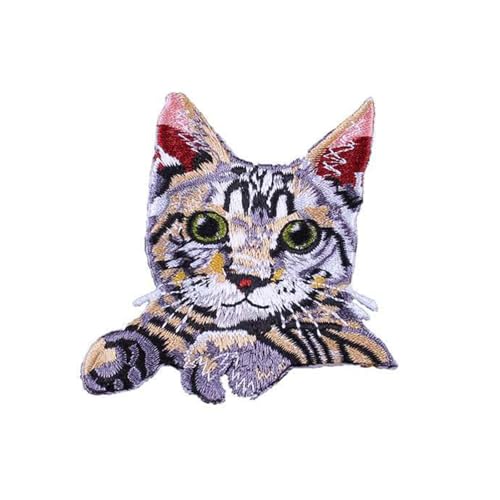 Dekorative Katzen Stoffflächen Halloween Kostüm Patches Stickereien Für Kreative Kleidungsideen von Beimus