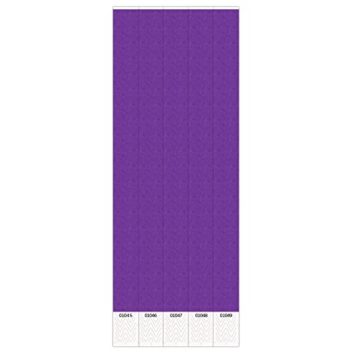 Beistle Kunststoff-Armbänder für Veranstaltungen, Partygeschenke und Zubehör, 1,9 x 25,4 cm, Violett, 100 Stück von Beistle