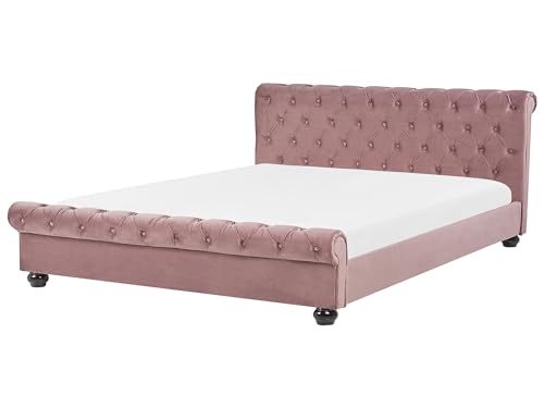 Beliani Britisches Bett Polsterbezug Samtstoff Chesterfield Style rosa Avallon von Beliani