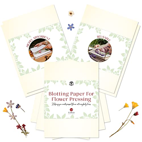 Löschpapier für Blumenpresse von Berstuk® • Großes A4 Blumenpresspapier • Sehr saugfähiges und wiederverwendbares Herbariumpapier • 10 Blatt Blotterpapier von Berstuk