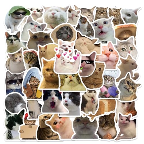 50 Stück Meme Sticker,Katzensticker,Katzen Aufkleber,Cute Cat Stickers,Aesthetic Lustig Katze Merch,SüßE Lustige Katzenaufkleber Set,Funny Stuff FüR Cats,Süß Wasserflasche Stiker,Wasserflaschen von Besmrpg