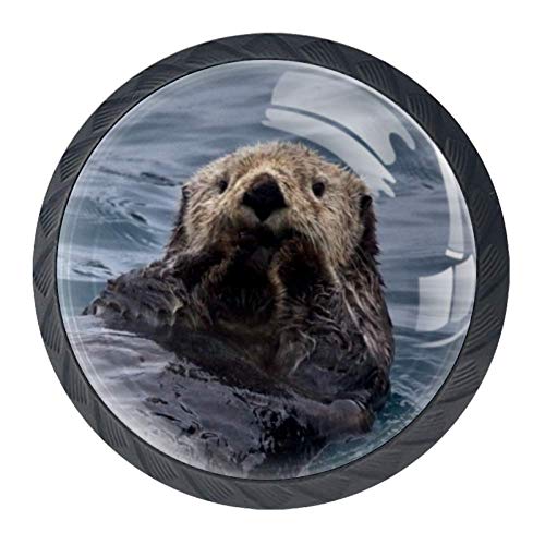 BestIdeas Möbelknöpfe, niedliche Meerotter, rund, für Küche, Kommode, Tür, Schrank, 4 Stück, Cute Sea Otter, 3.5×2.8CM/1.38×1.10IN von BestIdeas