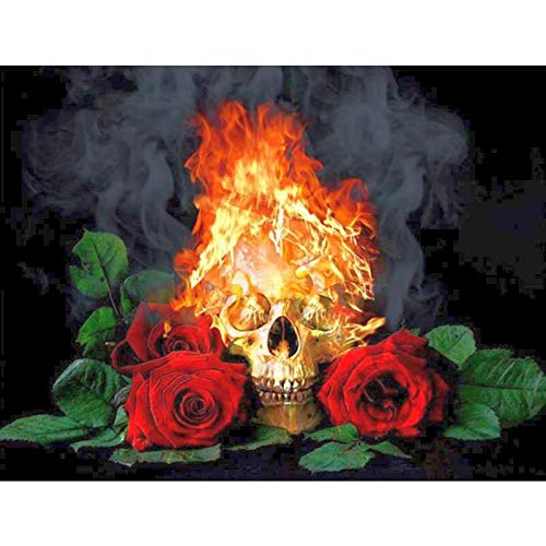 Better Selection DIY 5D Full Diamond Painting Kit, Red Rose and Burning Skull Diamond Art Kits for Adults Paint with Diamonds Kits Diamonds Stickerei by Numbers 30x40 cm von Better Selection