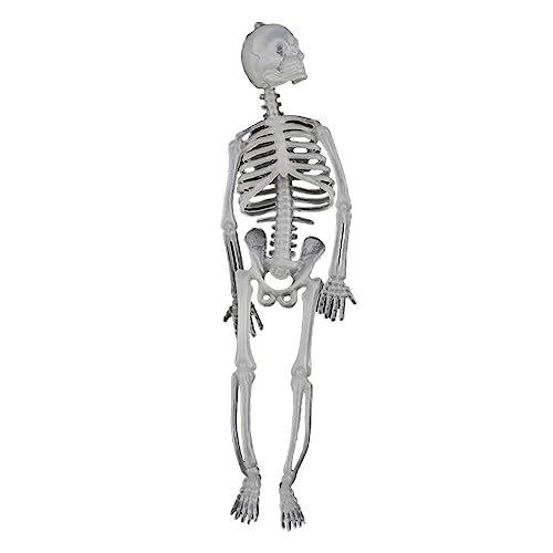 Bexdug Halloween-Skelett leuchtet im Dunkeln | Halloween-Skelettfigur, die im Dunkeln leuchtet, Dekorationen | Supplies Favor Geschenke Indoor Outdoor Dekoration für Halloween von Bexdug