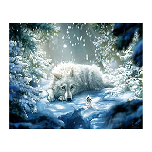 DIY 5D Diamant Gemälde Set, Weißer Wolf Schlaf Schnee 50x70cm DIY Diamant Painting Bilder Vollbohrer Diamond Art Strass Stickerei Kreuzstich Home Wand Leinwand bild Arts Craft von Bfchn