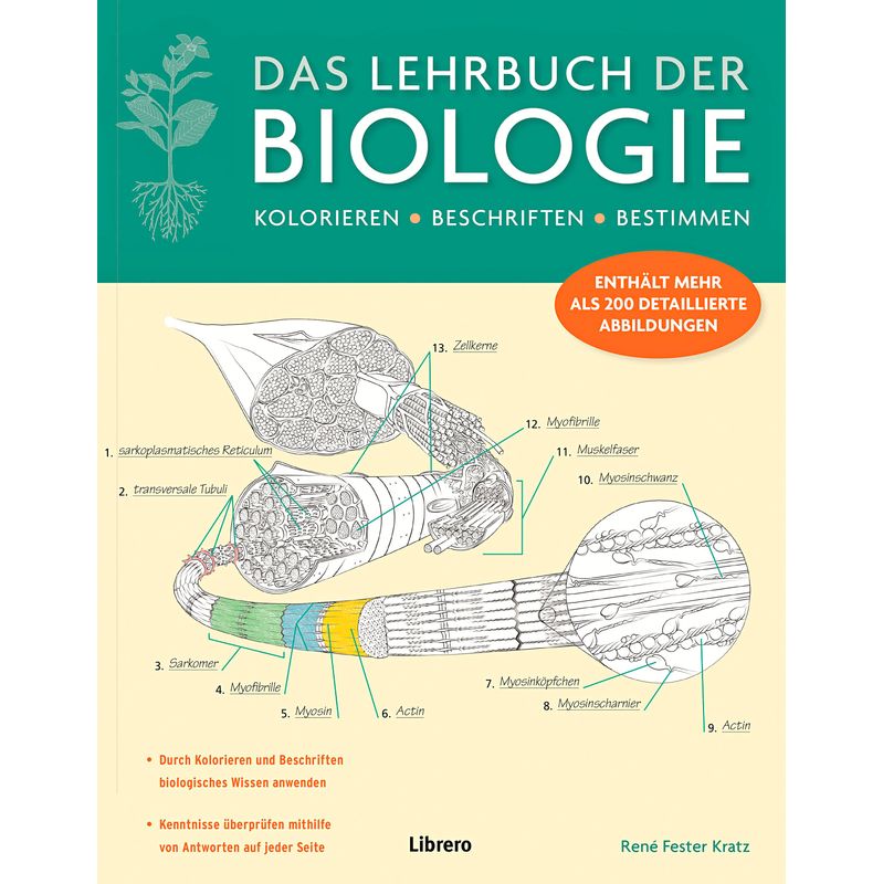 Das Lehrbuch Der Biologie - Rene Fester Kratz, Kartoniert (TB) von Bielo