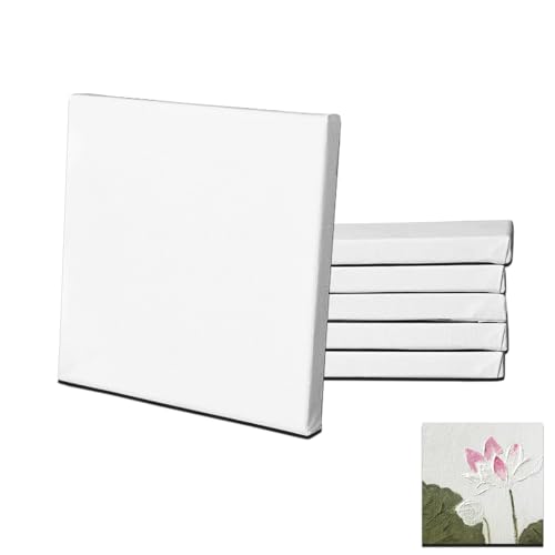 6 Stück 15x15cm Leinwand zum Bemale Leinwandrahmen Baumwolle Mini Leinwände Malen Kleine Rahmen Keilrahmen Künstlertafelbilder für Bastler Künstler von Billowvolve