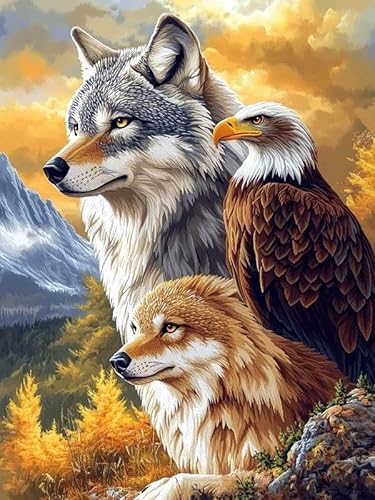 Bimkole 5D Diamond Painting Kits Zubehör Wolf, Adler Diamant Malerei Kit Voll Runde Bohrer Malen nach Zahlen Malerei Stickerei Kreuzstich Diamond Dekoration 30x40 cm von Bimkole