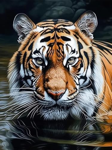 Bimkole DIY 5D Diamond Painting Kits Zubehör Tiger, Tier Diamant Malerei Kit Voll Runde Bohrer Malen nach Zahlen Malerei Stickerei Kreuzstich Diamond Dekoration 30X40cm von Bimkole