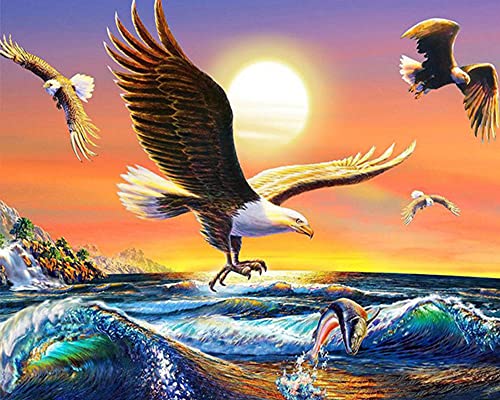 Bimkole DIY 5D Diamond Painting Zubehör Adler Sonnenuntergang, meer Diamant Malerei Kit Voll Runde Bohrer Malen nach Zahlen Malerei Stickerei Kreuzstich Diamond Dekoration (40x50 cm) von Bimkole