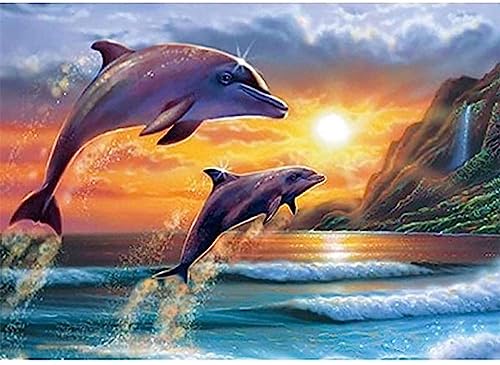 Bimkole DIY 5D Diamond Painting Zubehör Delphin Sonnenschein, Seeklippe Diamant Malerei Kit Voll Runde Bohrer Malen nach Zahlen Malerei Stickerei Kreuzstich Diamond Dekoration, (40x50 cm) von Bimkole