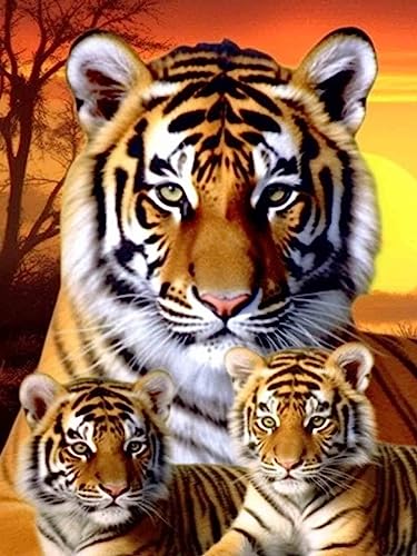 Bimkole DIY 5D Diamond Painting Zubehör Drei Tiger, Tier Diamant Malerei Kit Voll Runde Bohrer Malen nach Zahlen Malerei Stickerei Kreuzstich Diamond Dekoration 30X40 cm von Bimkole