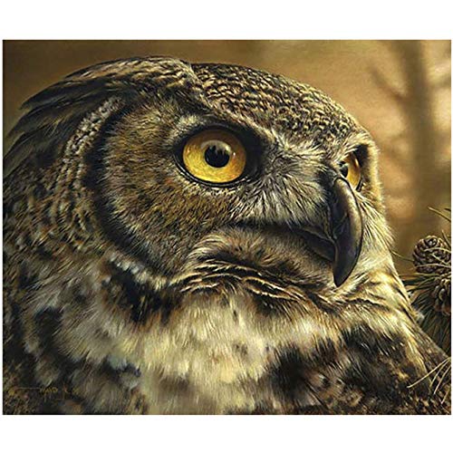 Bimkole DIY 5D Diamond Painting Zubehör Eule， Tierbaum Diamant Malerei Kit Voll Runde Bohrer Malen nach Zahlen Malerei Stickerei Kreuzstich Diamond Dekoration, (30x40 cm) von Bimkole