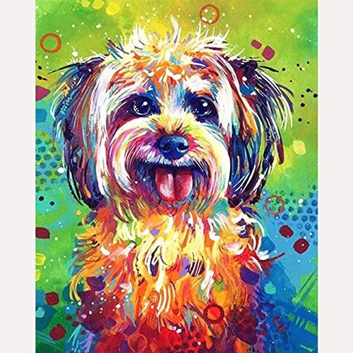 Bimkole DIY 5D Diamond Painting Zubehör Hund, Kunstmalerei Tier Diamant Malerei Kit Voll Runde Bohrer Malen nach Zahlen Malerei Stickerei Kreuzstich Diamond Dekoration, (30x40 cm) von Bimkole