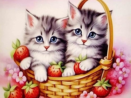 Bimkole DIY 5D Diamond Painting Zubehör Katze, Tierische Erdbeere Diamant Malerei Kit Voll Runde Bohrer Malen nach Zahlen Malerei Stickerei Kreuzstich Diamond Dekoration 30X40 cm von Bimkole