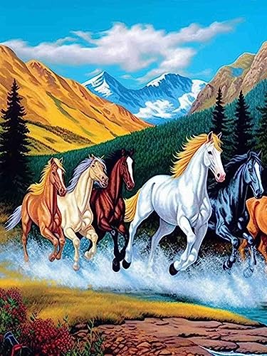 Bimkole DIY 5D Diamond Painting Zubehör Laufendes Pferd, Tier Diamant Malerei Kit Voll Runde Bohrer Malen nach Zahlen Malerei Stickerei Kreuzstich Diamond Dekoration 30X40 cm von Bimkole