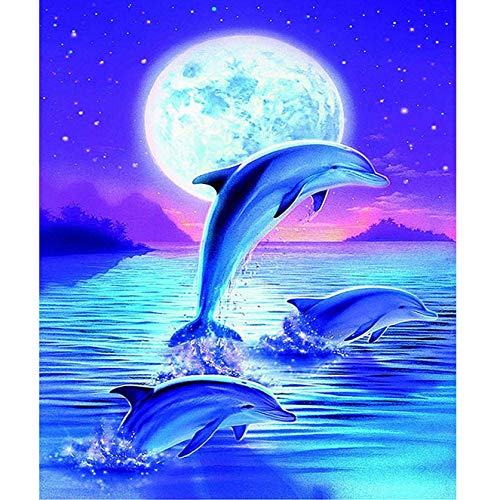 Bimkole DIY 5D Diamond Painting Zubehör Monddelfin, Meer Wolke Diamant Malerei Kit Voll Runde Bohrer Malen nach Zahlen Malerei Stickerei Kreuzstich Diamond Dekoration, (40x50 cm) von Bimkole