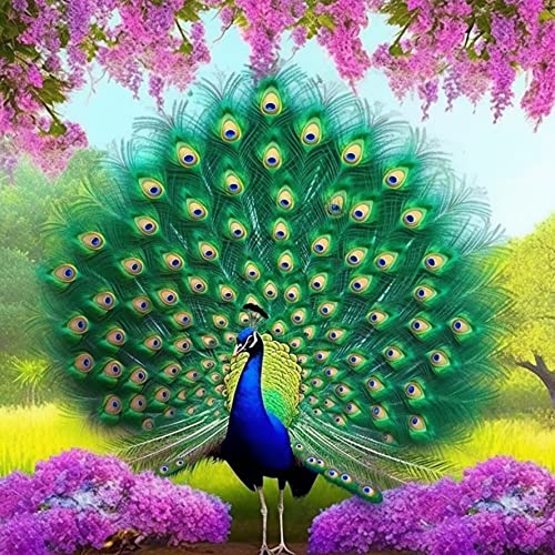 Bimkole DIY 5D Diamond Painting Zubehör Pfau, Pfau Feder Tier Blume Diamant Malerei Kit Voll Runde Bohrer Malen nach Zahlen Malerei Stickerei Kreuzstich Diamond Dekoration, (40x40 cm) von Bimkole