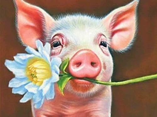 Bimkole DIY 5D Diamond Painting Zubehör Schwein, Gänseblümchentier Diamant Malerei Kit Voll Runde Bohrer Malen nach Zahlen Malerei Stickerei Kreuzstich Diamond Dekoration 30X40 cm von Bimkole