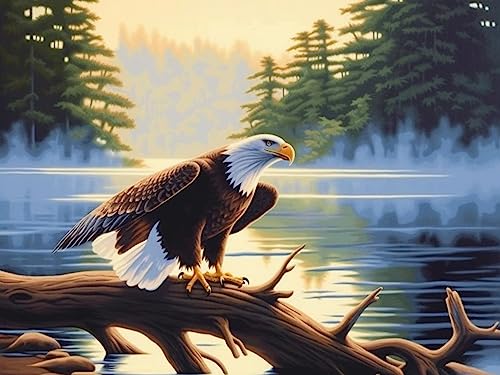 Bimkole DIY 5D Diamond Painting Zubehör Seeadler, Sternenklarer Himmel Diamant Malerei Kit Voll Runde Bohrer Malen nach Zahlen Malerei Stickerei Kreuzstich Diamond Dekoration, (40x50 cm) von Bimkole