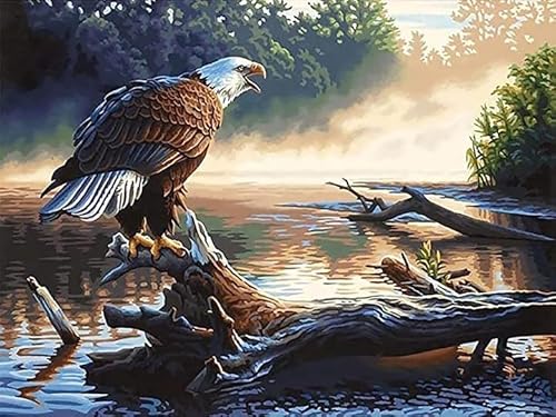 Bimkole DIY 5D Diamond Painting Zubehör Seeadler, Tiere Diamant Malerei Kit Voll Runde Bohrer Malen nach Zahlen Malerei Stickerei Kreuzstich Diamond Dekoration 30X40 cm von Bimkole