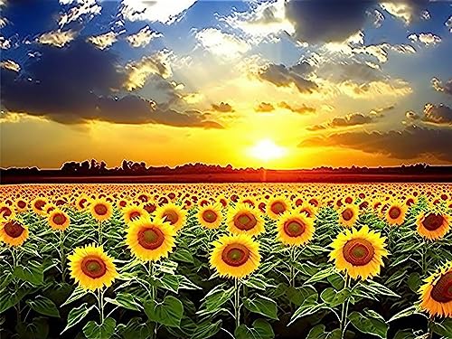 Bimkole DIY 5D Diamond Painting Zubehör Sonnenuntergang Sonnenblume, Meer Diamant Malerei Kit Voll Runde Bohrer Malen nach Zahlen Malerei Stickerei Kreuzstich Diamond Dekoration, (40x50 cm) von Bimkole