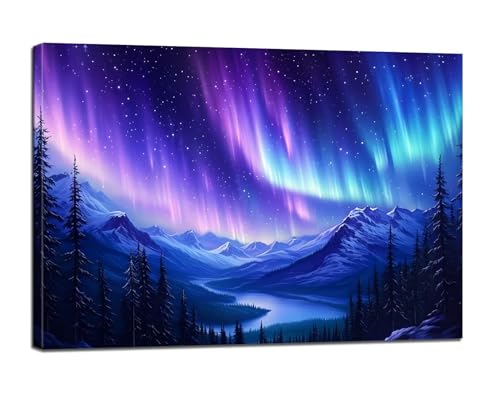 Malen Nach Zahlen Erwachsene Aurora Malen Nach Zahlen Bunt Malen Nach Zahlen Kinder, DIY Handgemalt Ölgemälde Paint by Numbers Bastelset mit 3 - Pinseln und Acrylfarbe, 50x70cm (Rahmenlos) BJ-315 von Binaoung