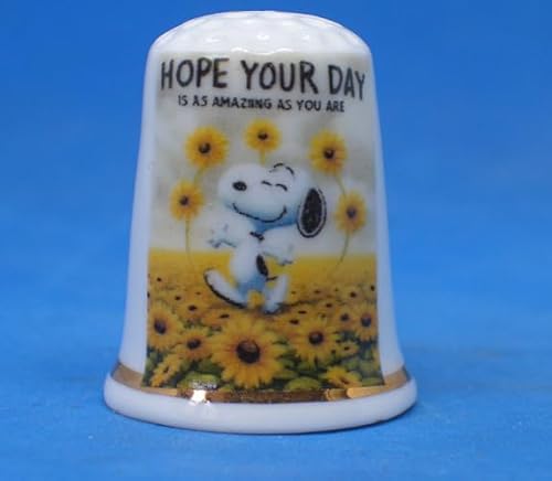 Birchcroft Fingerhut aus Porzellan, Sammlerstück, Hope Your Day, mit Displaybox von Birchcroft China