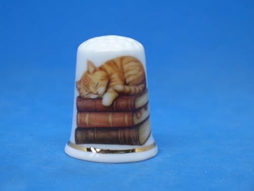 Birchcroft Porzellan-Fingerhut zum Sammeln, Lesekatze – mit Displaybox von Birchcroft China