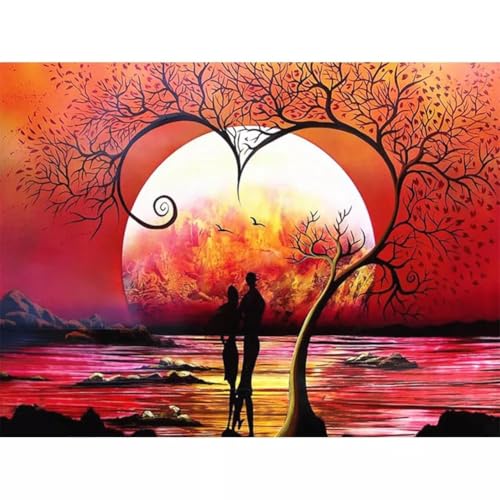 5D DIY Diamant Malerei Erwachsene Set，Zahlen Diamond Painting,Vollbohrer Schöne Aussicht kinder diamond painting Stickerei Bastelset für Wall Room Home Decoration30x40cm von Biubami