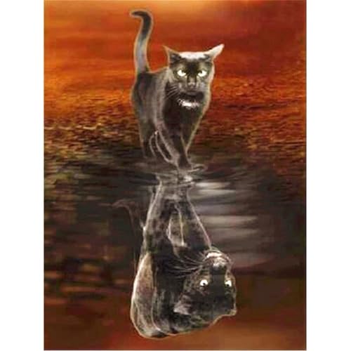 5D DIY Diamant Malerei Erwachsene Set，Zahlen Diamond Painting,Vollbohrer Tier Katze Panther kinder diamond painting Stickerei Bastelset für Wall Room Home Decoration30x40cm von Biubami