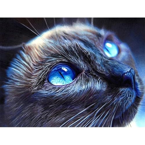 5D DIY Diamant Malerei Erwachsene Set，Zahlen Diamond Painting,Vollbohrer Tier Katze kinder diamond painting Stickerei Bastelset für Wall Room Home Decoration30x40cm von Biubami