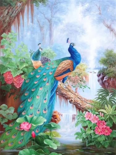 5D DIY Diamant Malerei Erwachsene Set，Zahlen Diamond Painting,Vollbohrer Tier Pfau kinder diamond painting Stickerei Bastelset für Wall Room Home Decoration30x40cm von Biubami