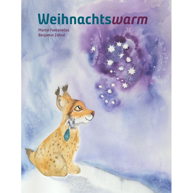 Weihnachtswarm - Martin Fontanellaz, Gebunden von Mosaicstones