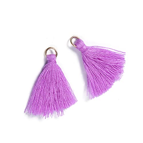 100 Stück Mini Quasten Anhänger,3 cm Bunte Quaste,Mini Tassel Charm,Seidig Weiche Bunte Quasten,Handgefertigtes Quasten für Schmuckherstellung DIY Bastelzubehör Lesezeichen Wohnkultur,Hellviolett von Blausky