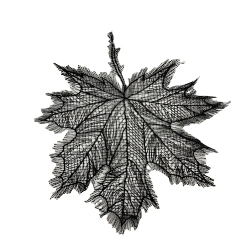 4 Stück Ahornblätter Patches,Stickerei Spitze Aufnäher Große Blätter Patch Bestickte Reparatur Dekoraktive Applikation Patch für Kleidung Rucksack Jeans DIY Handwerk 20cm,Schwarz 4 Stück Ahornblätter Patches,Stickerei Spitze Aufnäher Große Blätter Patch Bestickte Reparatur Dekoraktive Applikation Patch für Kleidung Rucksack Jeans DIY Handwerk 20cm,Schwarz von Blausky