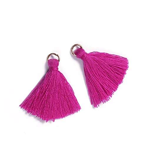 Blausky 100 Stück Mini Quasten Anhänger,3 cm Bunte Quaste,Mini Tassel Charm,Seidig Weiche Bunte Quasten,Handgefertigtes Quasten für Schmuckherstellung DIY Bastelzubehör Lesezeichen Wohnkultur,Fuchsia von Blausky