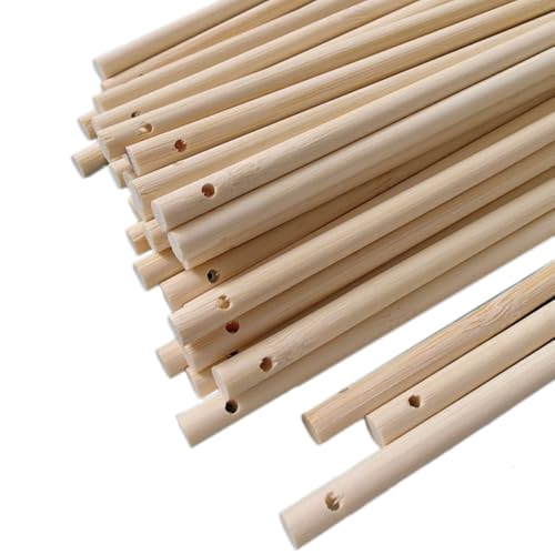 Blausky 30 Stück Natürlicher Bambusstäbe,Rundhölzer mit Loch Holzstäbchen zum Basteln Bastelstäbe Rundstab aus Massiv-Holz Bastelholz Holzbau-Stöcke für DIY Arts Craft Modellbau,6mmx50cm Blausky 30 Stück Natürlicher Bambusstäbe,Rundhölzer mit Loch Holzstäbchen zum Basteln Bastelstäbe Rundstab aus Massiv-Holz Bastelholz Holzbau-Stöcke für DIY Arts Craft Modellbau,6mmx50cm von Blausky