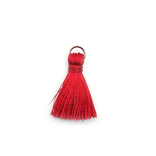 Blausky 50 Stück Handgemachte Quaste Anhänger,2 cm Troddel,Seidig Weiche Quasten,Mini Tassel Charm für Ohrringe Tasche Basteln Schlüsselanhänger Lesezeichen DIY Handwerk Zubehör,Rot von Blausky