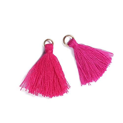 Blausky 50 Stück Mini Quasten Anhänger,3 cm Bunte Quaste,Mini Tassel Charm,Seidig Weiche Bunte Quasten,Handgefertigtes Quasten für Schmuckherstellung DIY Bastelzubehör Lesezeichen Wohnkultur,Rosa von Blausky