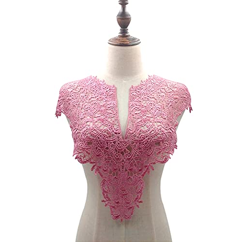 Blausky Spitzenkragen,Einsatzkragen Kragen,Aushöhlen Lace Falscher Kragen für Frauen,Dreidimensionale Blumen Applique,Bestickte Kragen,für Nähen,DIY,Deko am Ausschnitt,Kragen hinten,Dunkelpink von Blausky