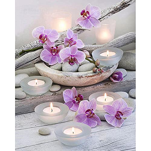 Bluehurric Kreuzstich Stickerei Set Vorgedruckt erwachsene anfanger Orchidee Kreuzstich für Anself DIY Starter Stickbild Handwerk11CT Geschenk Heimdekoration(16×20inch von Bluehurric